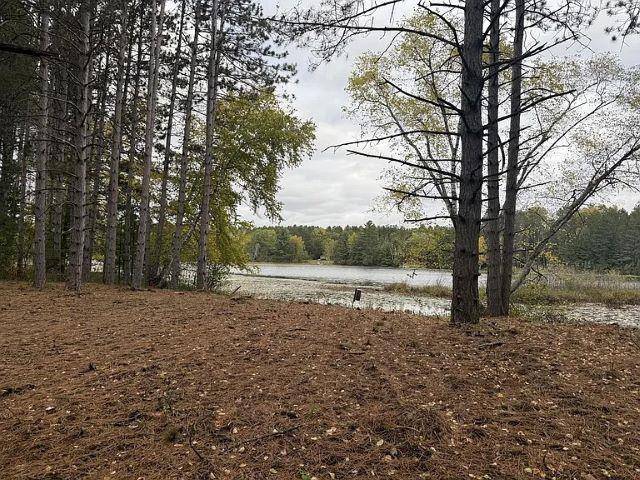 Tomahawk, WI 54487,Lot 3 PINE SHORE LANE