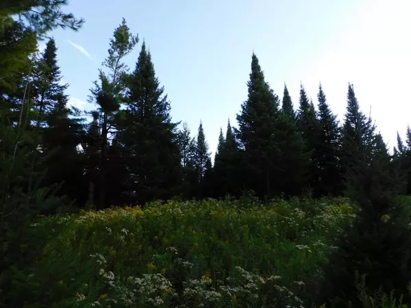 Irma, WI 54442,35 Acres COUNTY ROAD H