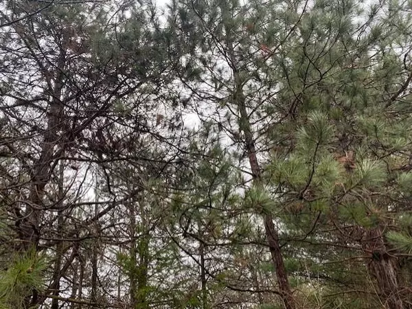 Wausau, WI 54403,Lot 2 SIDELINE ROAD