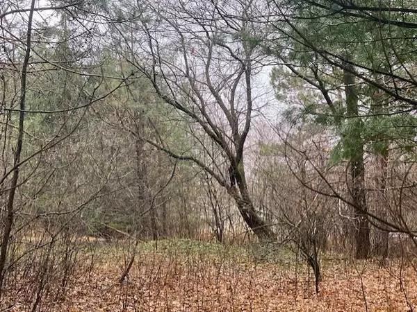 Wausau, WI 54403,Lot 2 SIDELINE ROAD