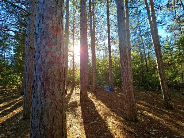 Friendship, WI 53934,1989 8TH AVENUE