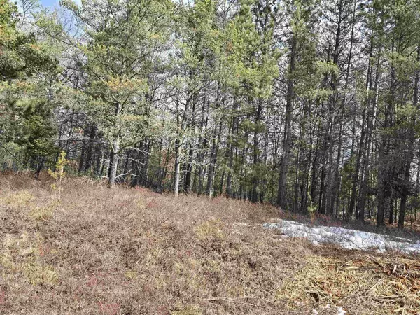 Tomahawk, WI 54487,NO-213-1 ROCKY ROAD