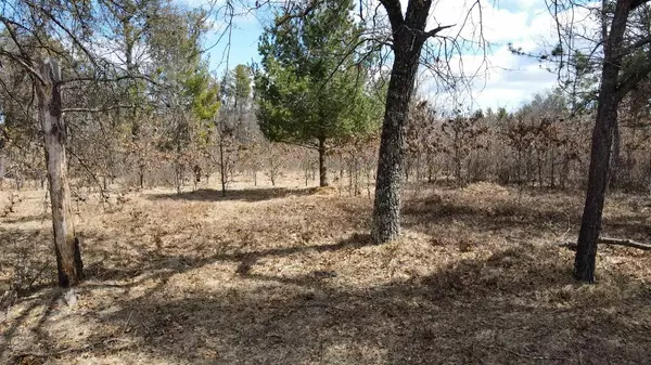 Nekoosa, WI 54457,262, 264, 266 15TH AVENUE