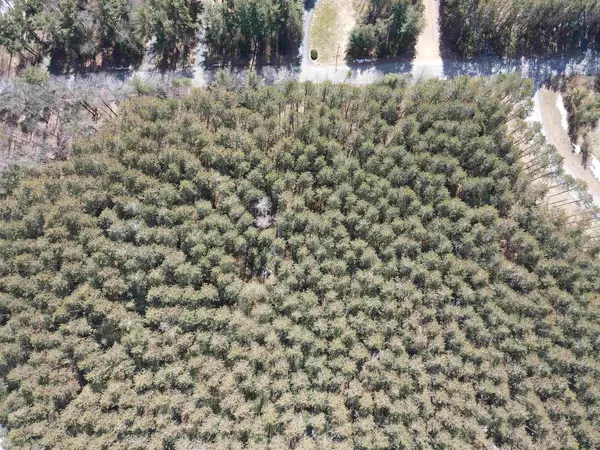 Mosinee, WI 54455,149441 PHILS LANE #LOT 3