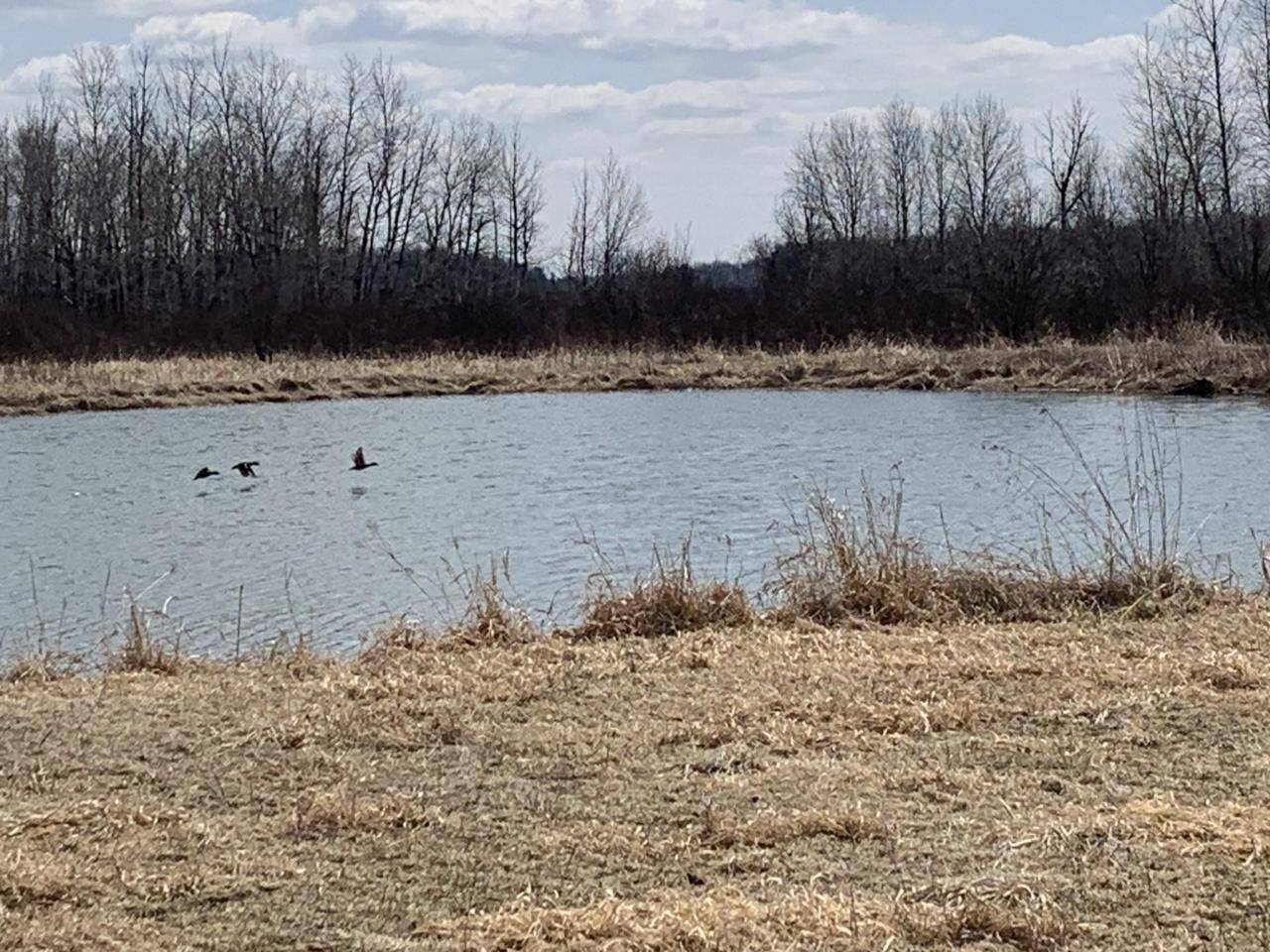 Wisconsin Rapids, WI 54454,000 ROSE ROAD