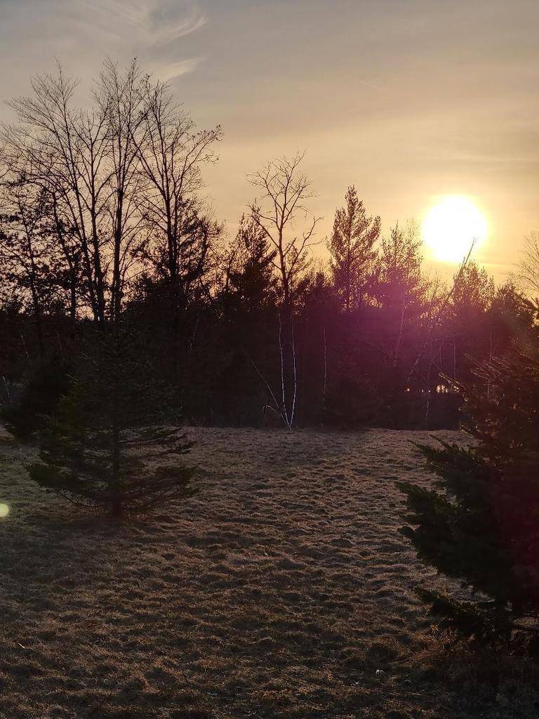 Wisconsin Rapids, WI 54457,Lot 14 WOOD DUCK TRAIL