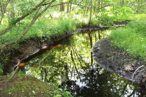 Clintonville, WI 54929,Off SAINT JOHNS CHURCH ROAD