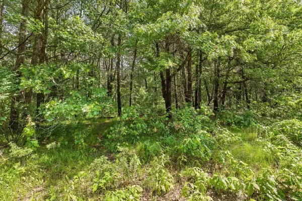 Stevens Point, WI 54481,Lot 4 WALLACE PLACE