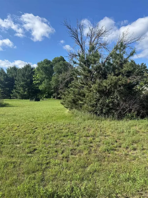 Stevens Point, WI 54482,5416 WINDY DRIVE
