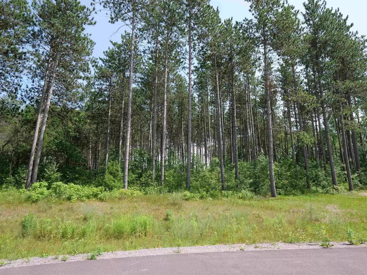 Stevens Point, WI 54482,Lot 7 TWO SISTERS COURT
