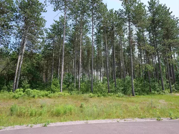 Lot 7 TWO SISTERS COURT, Stevens Point, WI 54482