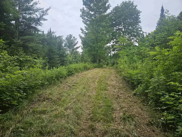 Irma, WI 54442,00 COUNTY ROAD H