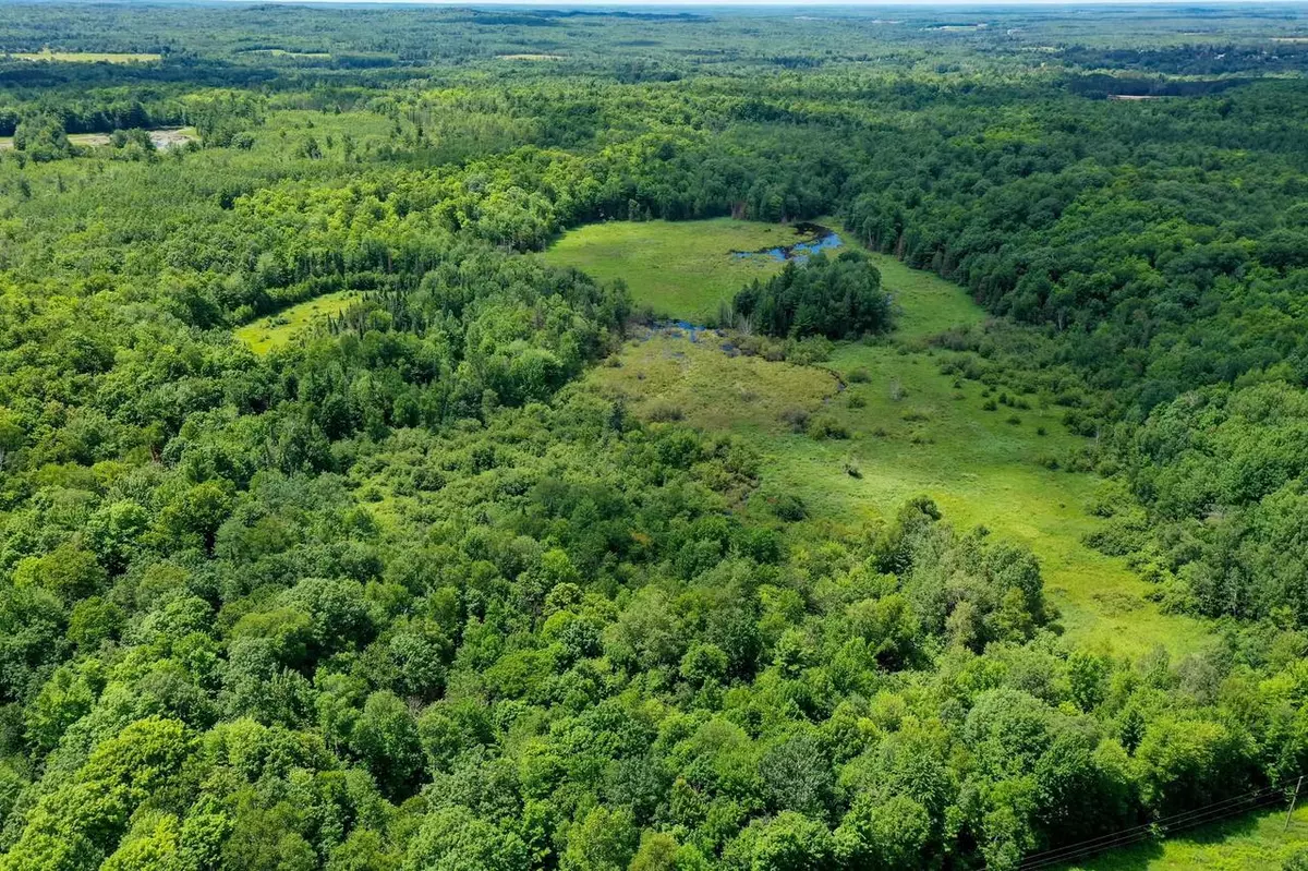 Westboro, WI 54490,+/-40 Acres HILLS LANE