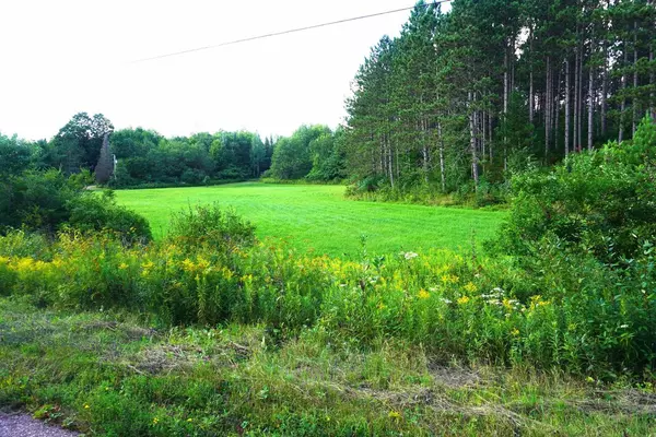 Merrill, WI 54452,17.47 Acres SCHULZ SPUR DRIVE