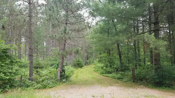 Tomahawk, WI 54487,ON HORSESHOE ROAD