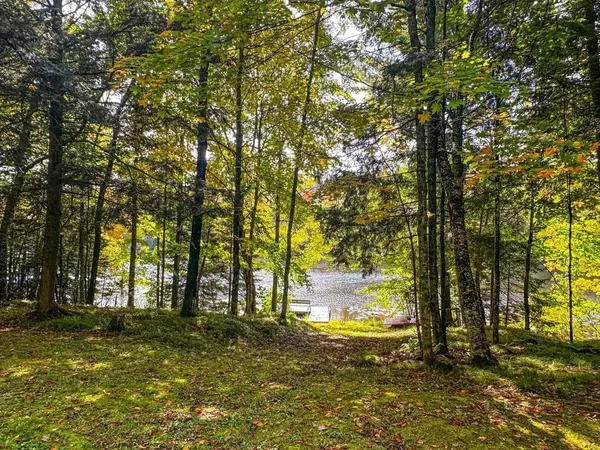 Park Falls, WI 54552,W8155 DEMARS BRIDGE LANE