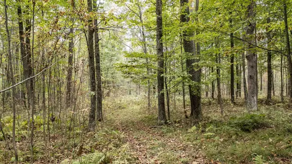 Eland, WI 54427,W18610 HIGHWAY 45