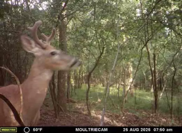 Coloma, WI 54930,6.63 Acres 4TH AVENUE