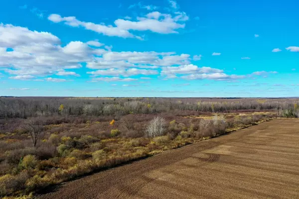 +/-21.5 Acres COUNTY ROAD M, Rib Lake, WI 54470