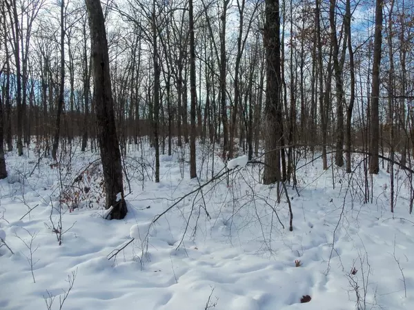 Springbrook, WI 54875,LOT 4 HADDICK RD