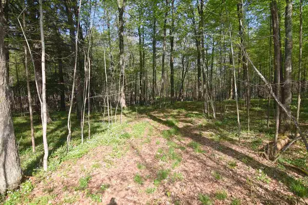 Tigerton, WI 54486,N5106 W SENECA TOWNLINE ROAD