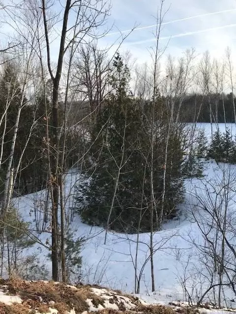 W HIGHLAND DRIVE, Oconto Falls, WI 54154