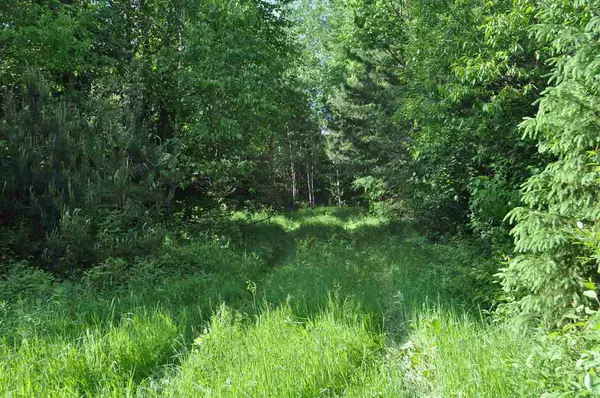 Irma, WI 54442,LEACH ROAD