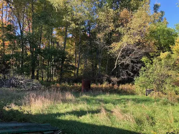 Iola, WI 54945,N9178 PAGEL ROAD