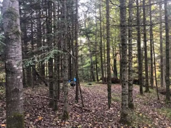 Fence, WI 54542,HWY 139