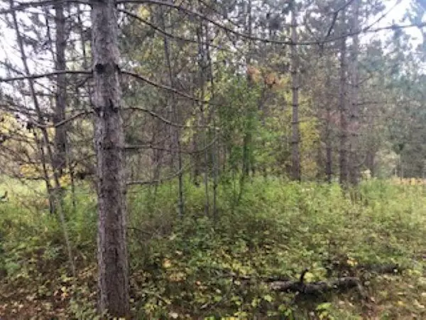 Fence, WI 54542,HWY 139