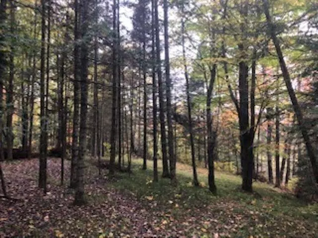 Fence, WI 54542,HWY 139