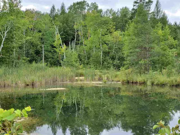 Iola, WI 54945,E821 TROUT CREEK ROAD