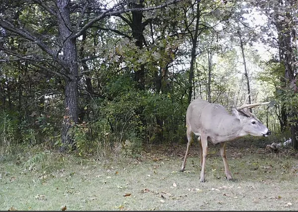 Hancock, WI 54943,N4002 2ND AVENUE