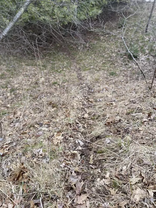 Rosholt, WI 54473,W TREE LAKE LANE