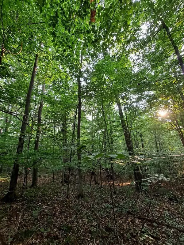 Iola, WI 54945,N9004 MOON LAKE RETREAT ROAD