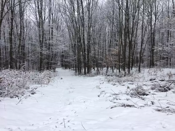 HWY C, Marion, WI 54950