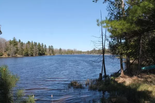 W8286 DEACON LANE, Daggett, MI 49821