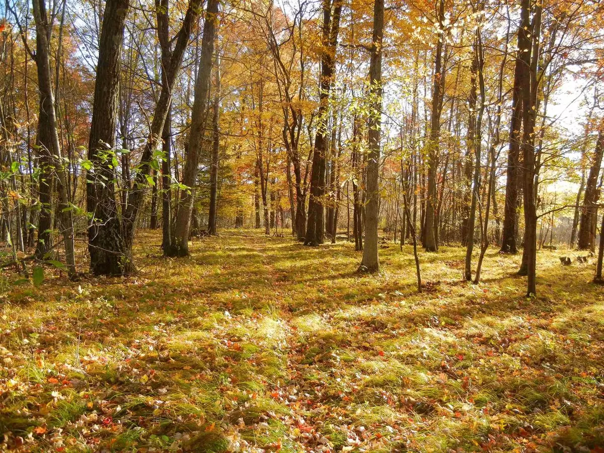 Scandinavia, WI 54977,E2507 SILVER LAKE ROAD