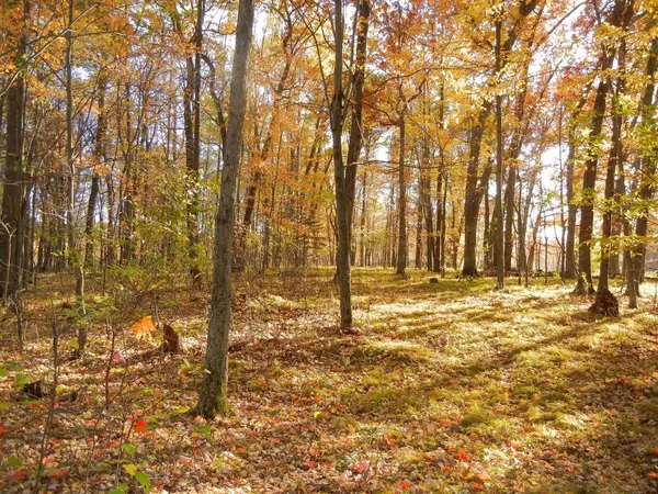 Scandinavia, WI 54977,E2507 SILVER LAKE ROAD