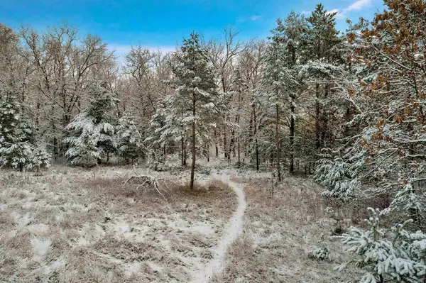 Hancock, WI 54943,BUTTERCUP AVENUE