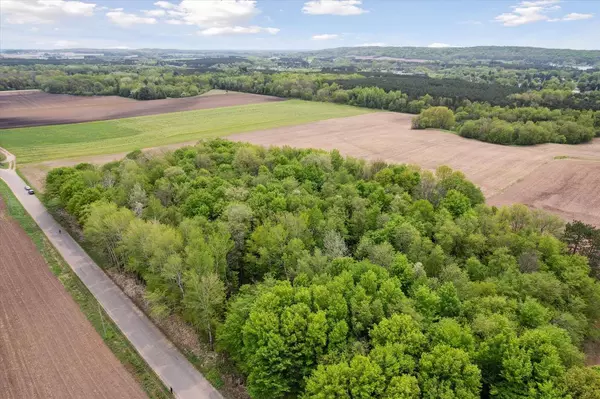 Marion, WI 54950,GERBIG ROAD