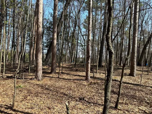 Clintonville, WI 54929,LONG LAKE DRIVE