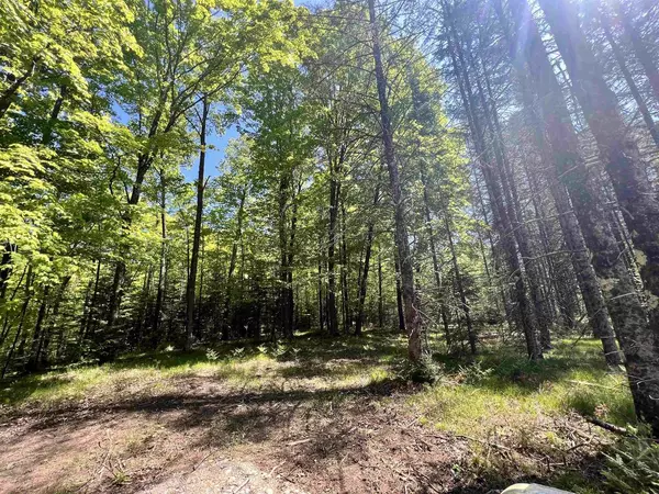 Porterfield, WI 54159,WILLOW HEIGHTS LANE