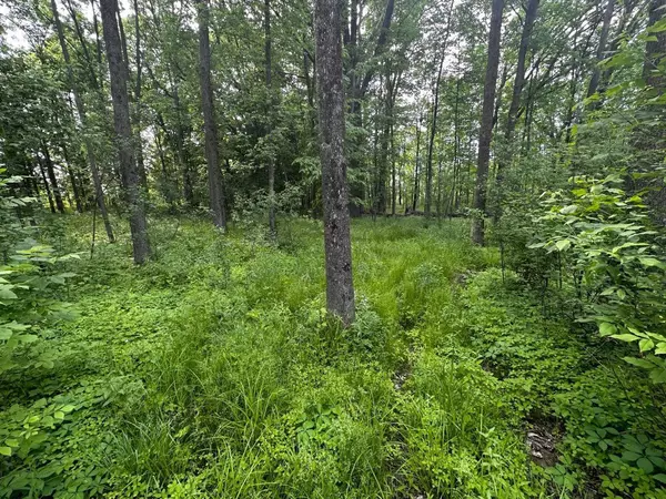 Clintonville, WI 54929,N10969 STATE RD 22