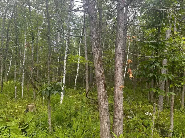 Clintonville, WI 54929,SWAMP ROAD