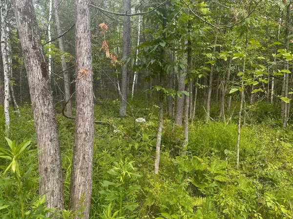 Clintonville, WI 54929,SWAMP ROAD