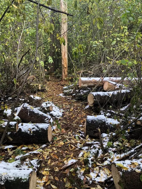 Weyauwega, WI 54983,3RD AVENUE