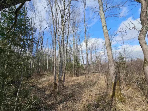Irma, WI 54442,TAMARACK LANE