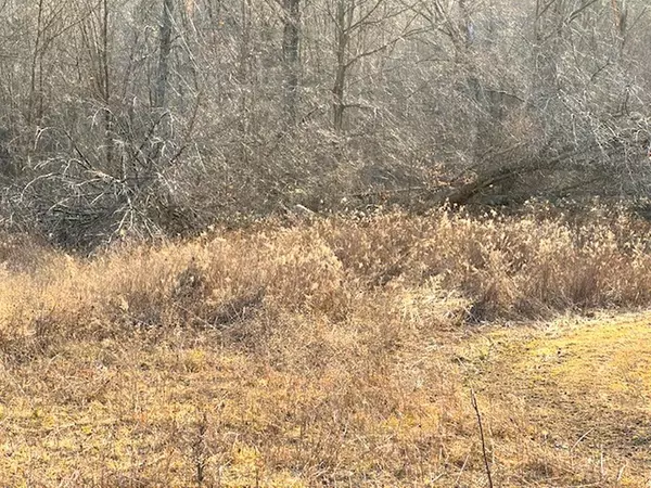 Wittenberg, WI 54499,THORN APPLE DRIVE