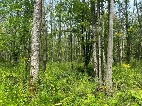 Clintonville, WI 54929,COUNTY RD D